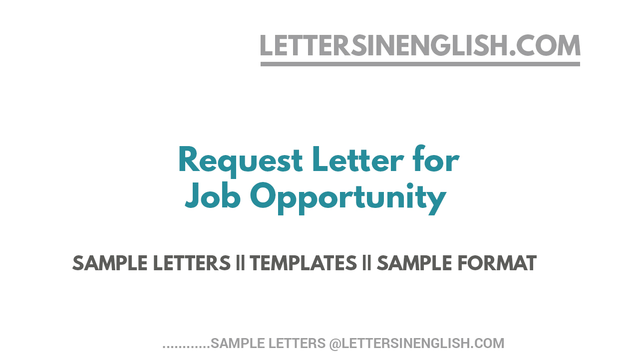Request Letter for Job Opportunity